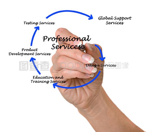 专业服务图表 专业设计服务的价值与实现路径